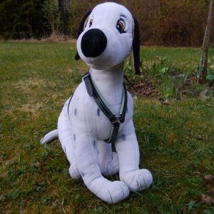 _koiran valjaat nahkaa_nahkavaljaat koiralle_käsintehdyt koiran valjaat_koiran valjaat mittatilauksena_kestävät koiran valjaat_laadukkaat nahkavaljaat koiralle_mittatilausvaljaat koiralle_