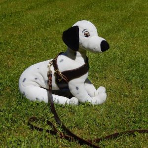 _koiran valjaat nahkaa_nahkavaljaat koiralle_käsintehdyt koiran valjaat_koiran valjaat mittatilauksena_kestävät koiran valjaat_laadukkaat nahkavaljaat koiralle_mittatilausvaljaat koiralle_