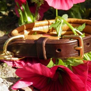 _mittatilaus kaulapanta_kaulapanta strasseilla_strassikaulapanta_ pehmustettu nahkapanta_kotimainen nahkapanta_suomessa tehdyt koiravarusteet_kotimainen koiran panta_kaulapannat toiveiden mukaan_laadukas koiran kaulapanta_kestävä koiran panta_käsin tehty koiran kaulapanta_koiran kaulapanta messinkisoljilla_
