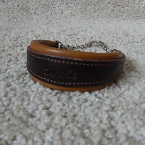 Puolikiristävä kaulapanta pienelle koiralle