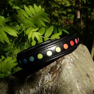 _mittatilaus kaulapanta_kaulapanta strasseilla_strassikaulapanta_ pehmustettu nahkapanta_kotimainen nahkapanta_suomessa tehdyt koiravarusteet_kotimainen koiran panta_kaulapannat toiveiden mukaan_laadukas koiran kaulapanta_kestävä koiran panta_käsin tehty koiran kaulapanta_