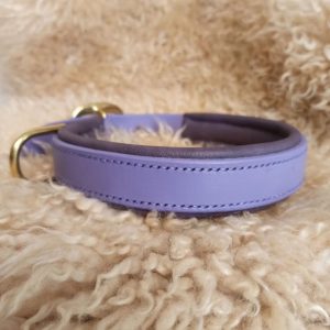 Varastossa valmiina olevat tuotteet koirille. Nopea toimitus.